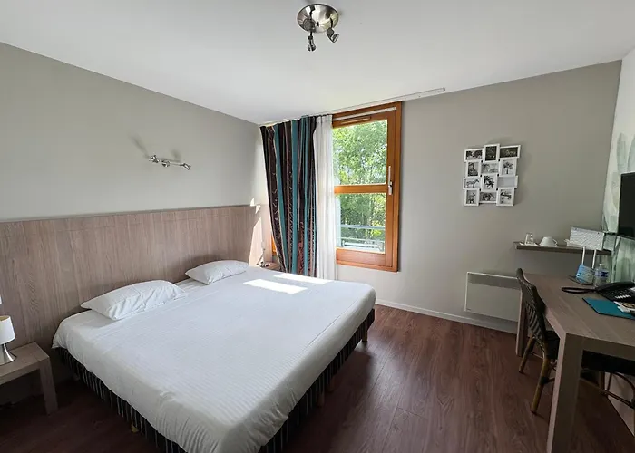 L'auberge Du Rhone 3* Chavanoz